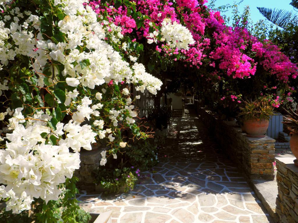 Dimitra Studios Kastrákion Oda fotoğraf