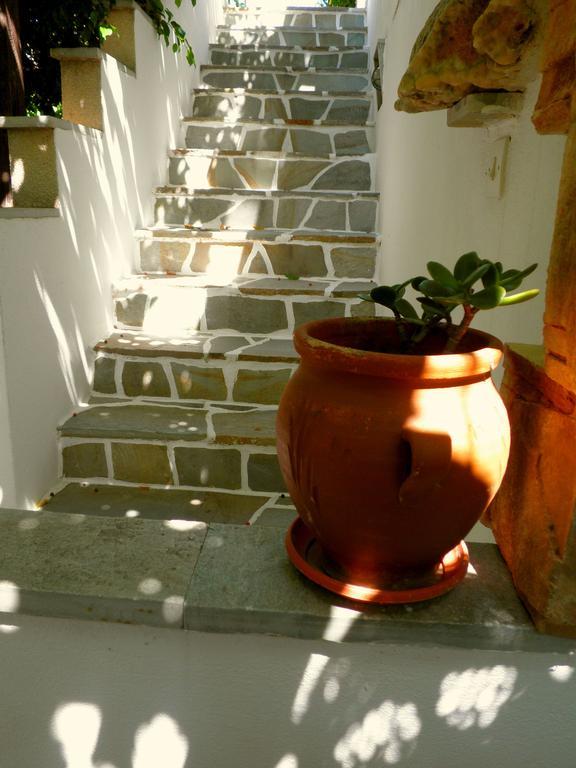 Dimitra Studios Kastrákion Dış mekan fotoğraf