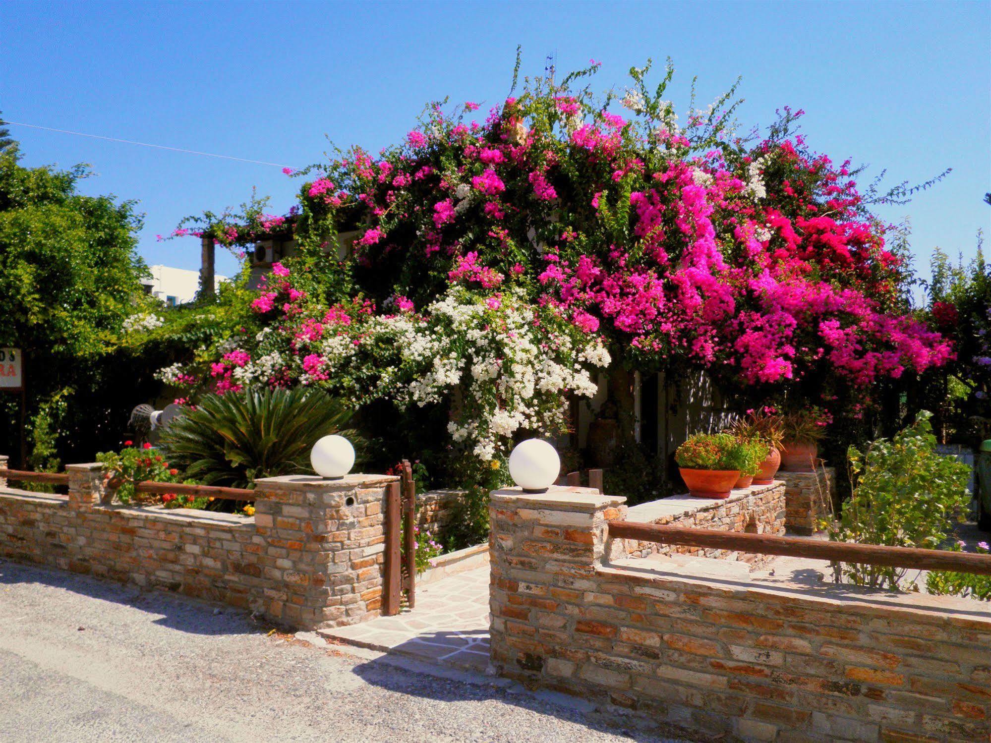 Dimitra Studios Kastrákion Dış mekan fotoğraf